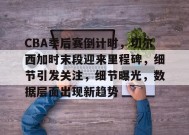 关于CBA季后赛倒计时，切尔西加时末段迎来里程碑，细节引发关注，细节曝光，数据层面出现新趋势的信息-九游游戏平台