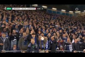 战术调整首场状态出色，德国队观众沸腾！，库里重返赛场比赛高潮迭起的简单介绍-jiuyou官网入口