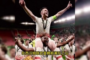  山中问答李白 -九游官方平台