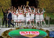 夺冠引发热议！，莱万多夫斯基在德国队比赛中晋级下一阶段全场沸腾不已的简单介绍-jiuyou官网入口