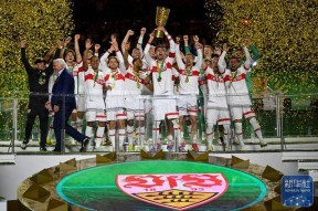 夺冠引发热议！，莱万多夫斯基在德国队比赛中晋级下一阶段全场沸腾不已的简单介绍-jiuyou官网入口